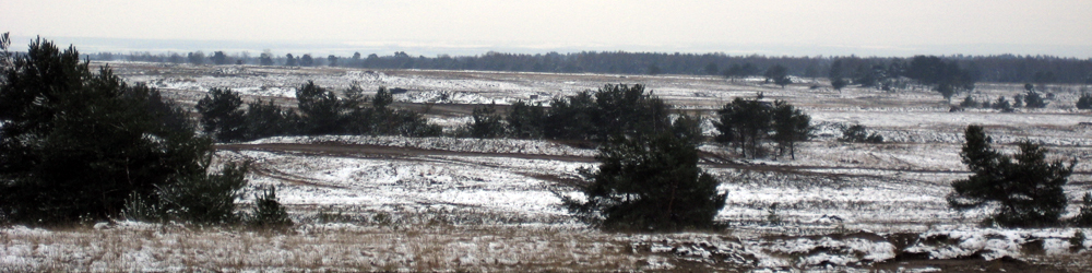 IMG_1528.JPG