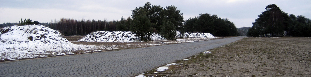 IMG_1536.JPG