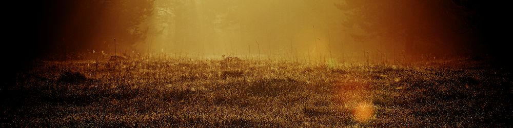 mg_7912